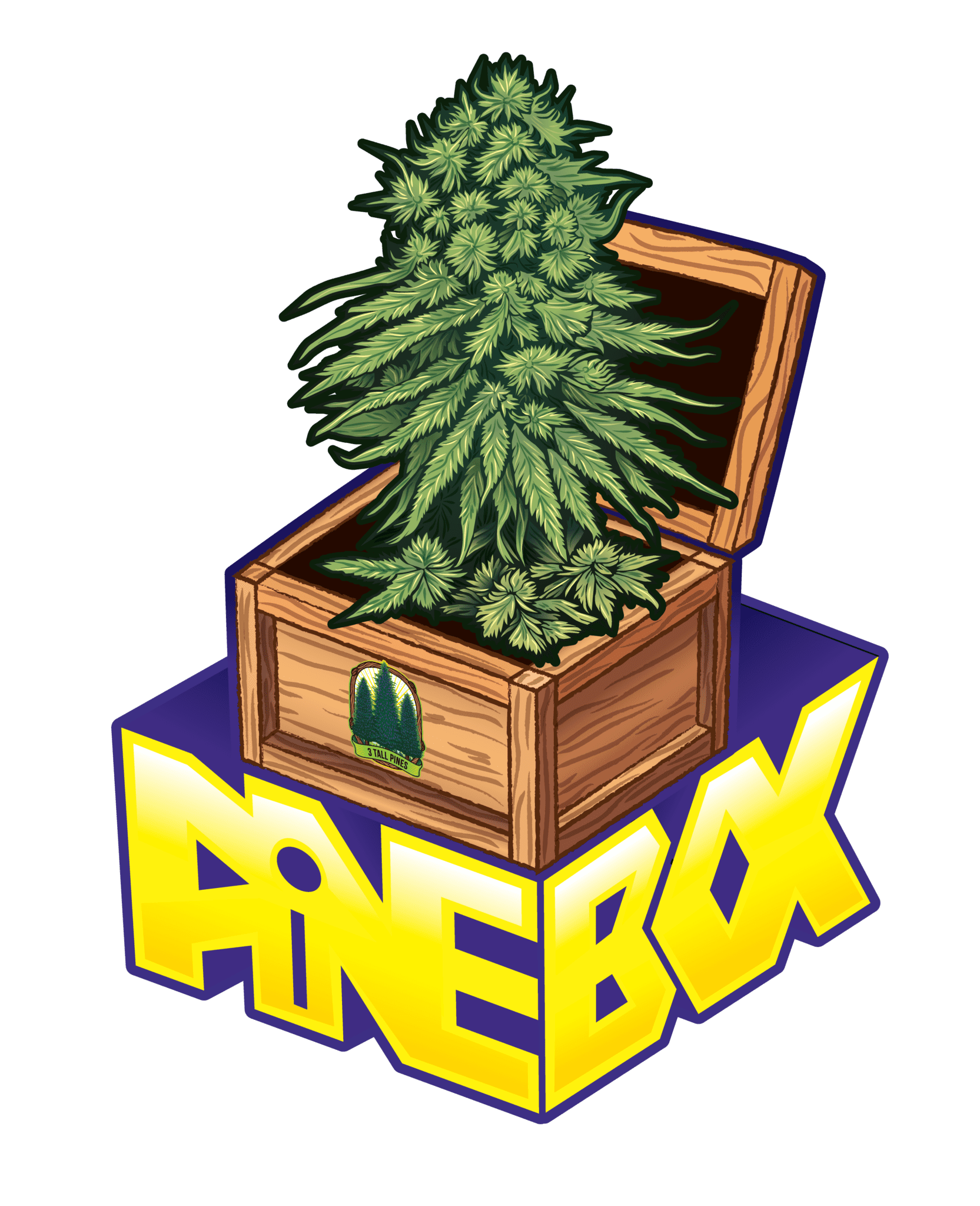 pinebox logo concept 2 01